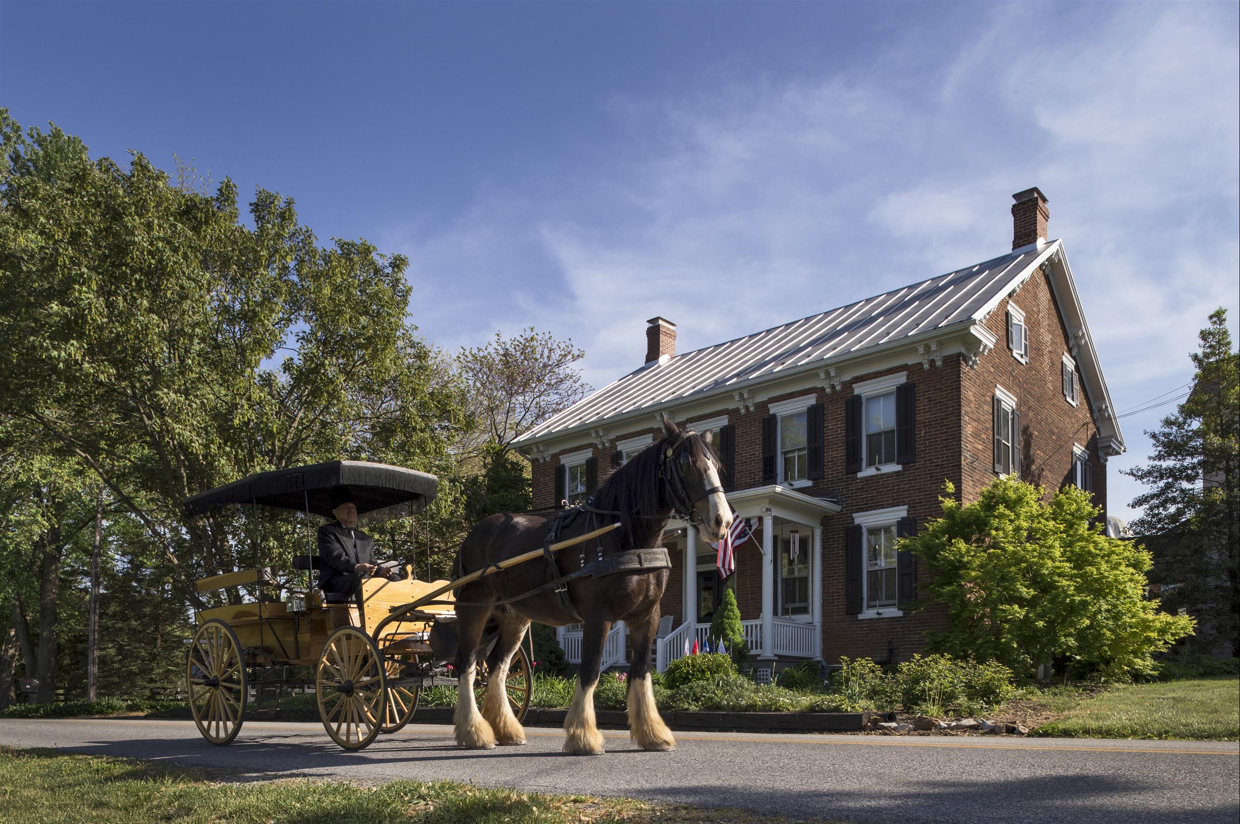 man-driving-horse-drawn-carriage-in-front-of-Inn.jpg